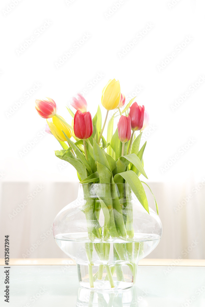Tulpen Tulpen