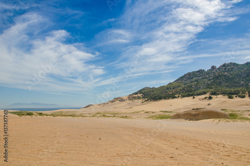 Sand dunes landscape with shrubs and rock at Ca Na, Ninh Thuan, Vietnam