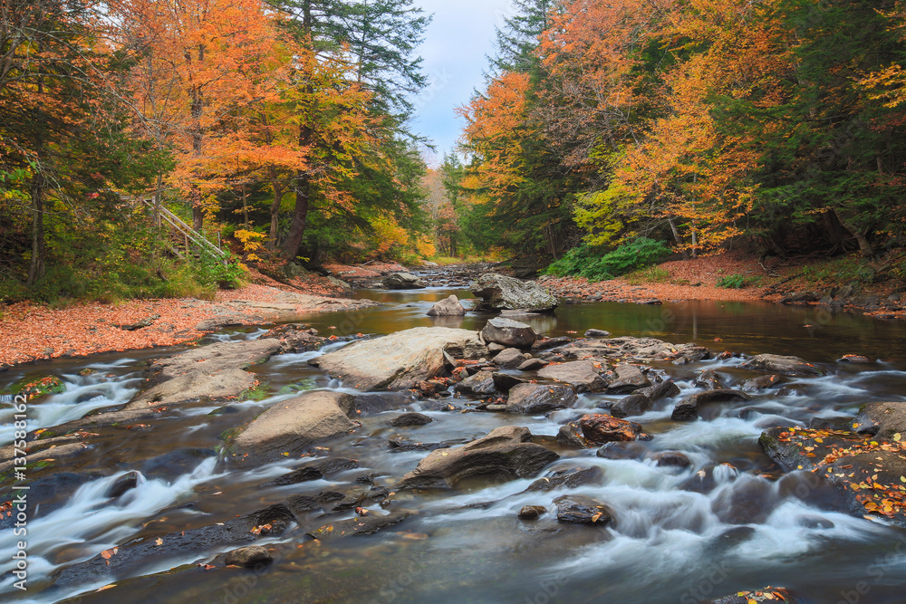 Autumn Color and a Flowing River Autumn Color and a Flowing River
