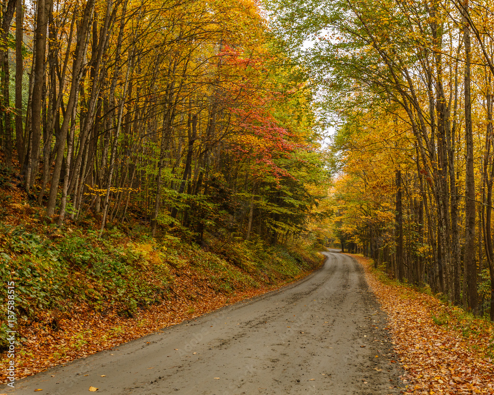 Road Winding Through the Autumn Color