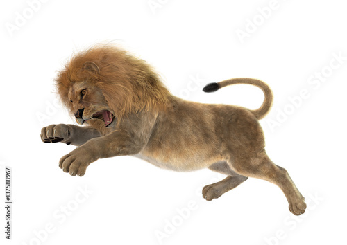 Fototapeta Naklejka Na Ścianę i Meble -  3D Rendering Male Lion on White