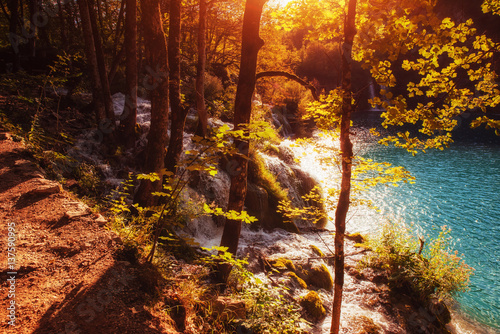 Fototapeta Naklejka Na Ścianę i Meble -  Scenic view around the turquoise water. Plitvice Lakes National 