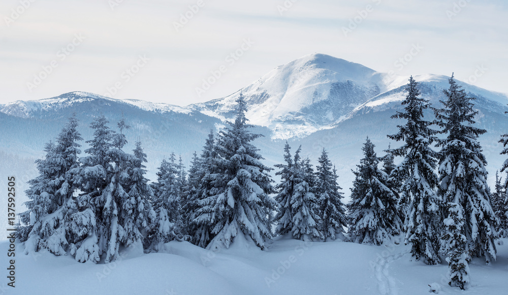 Mysterious winter landscape majestic mountains Mysterious winter landscape majestic mountains