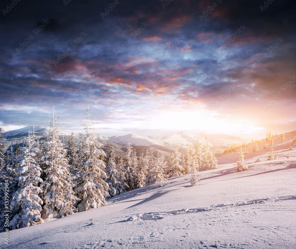 Obraz premium Fantastic winter landscape, steps, something leading into the mo