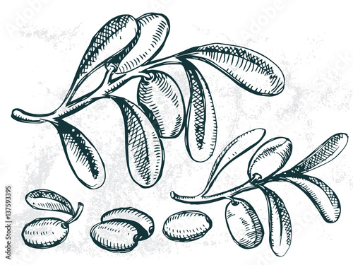 olive