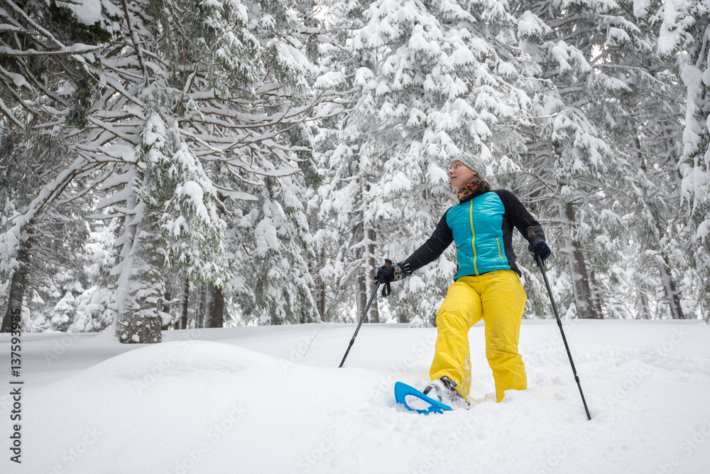 Traveller woman is walking on snowshoes among big pines
