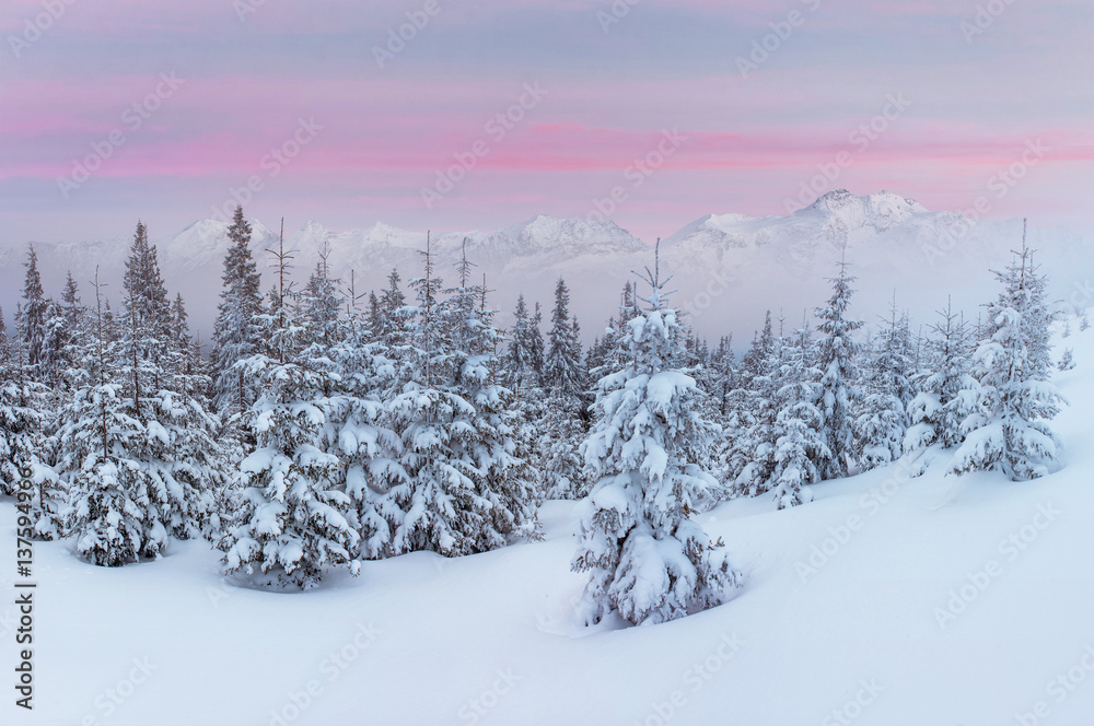 Mysterious winter landscape majestic mountains