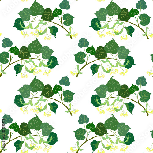  Seamless pattern with blossoming linden branch.
