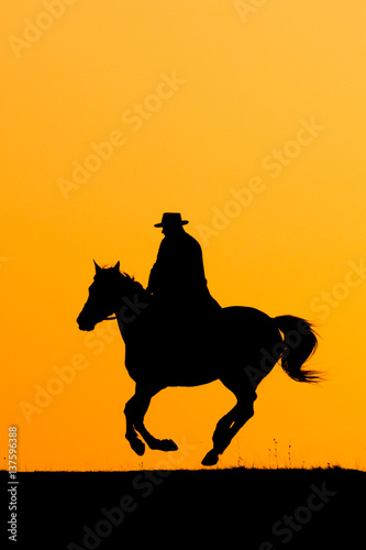 Rider man and jumping horse in the sunset © Szasz-Fabian Jozsef