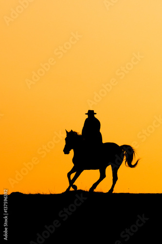 Horseback riding in the sunset