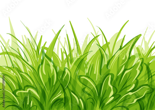 Vector grass background