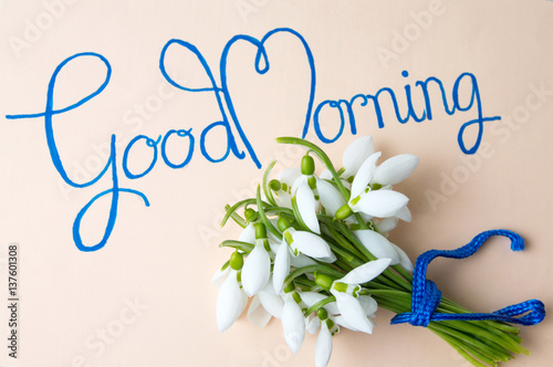 Fototapeta Good morning note with snowdrops bouquet