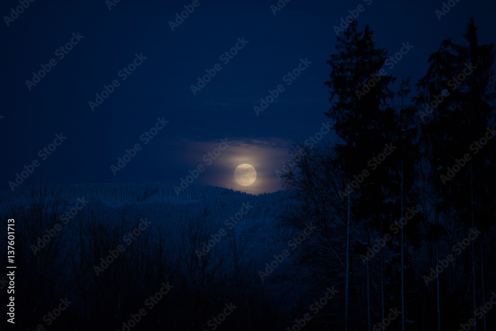 Full moon glowing at black forest night over hills and silhouettes of trees