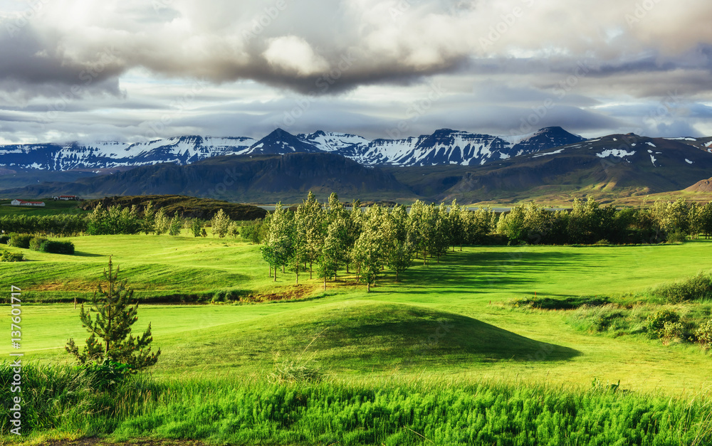 Obraz premium The picturesque landscapes of forests and mountains Iceland