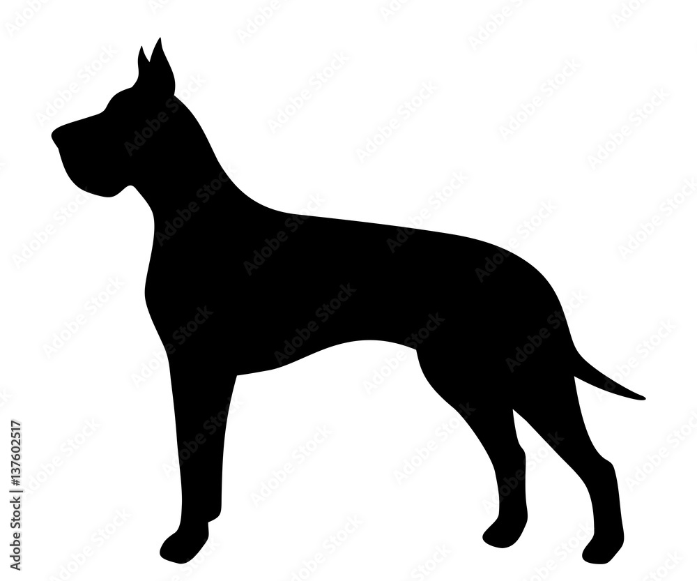 Vector black silhouette of a Great Dane dog isolated on a white background.