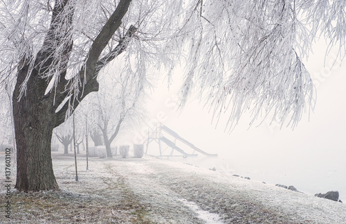 Nice winter scene
