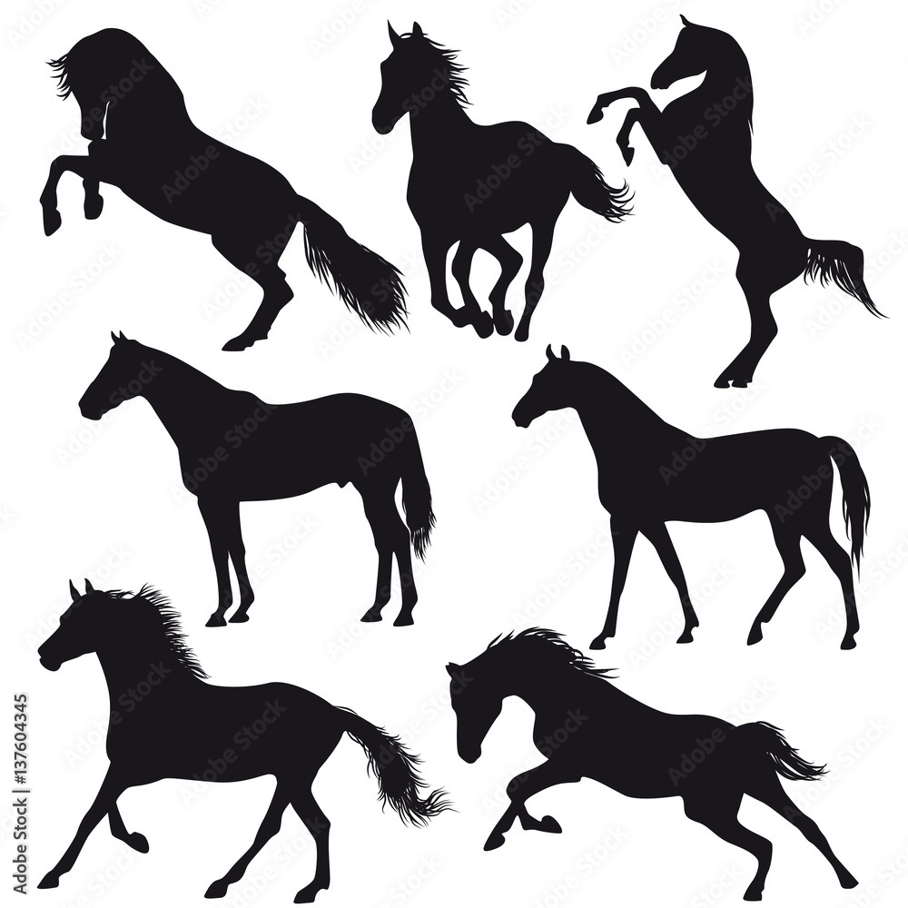 Horses silhouette collection - vector illustration. 