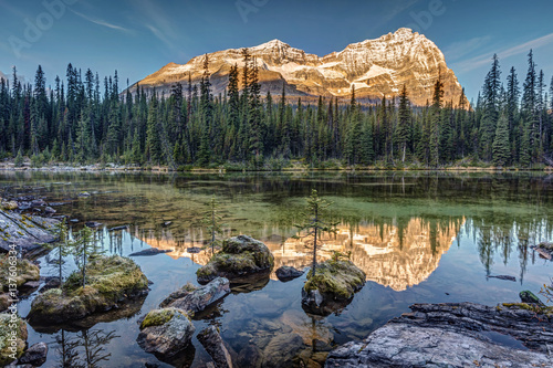 Autumn sunrise in the rocky mountains of British Columbia. from the shore of Lake O'Hara in the wilderness of Yoho National Park