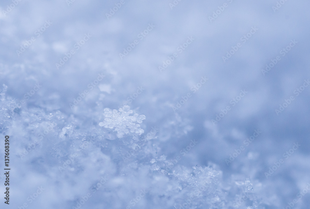 a single real snowflake on a snow crystals a single real snowflake on a snow crystals