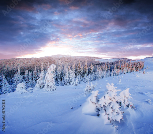 Mysterious winter landscape majestic mountains