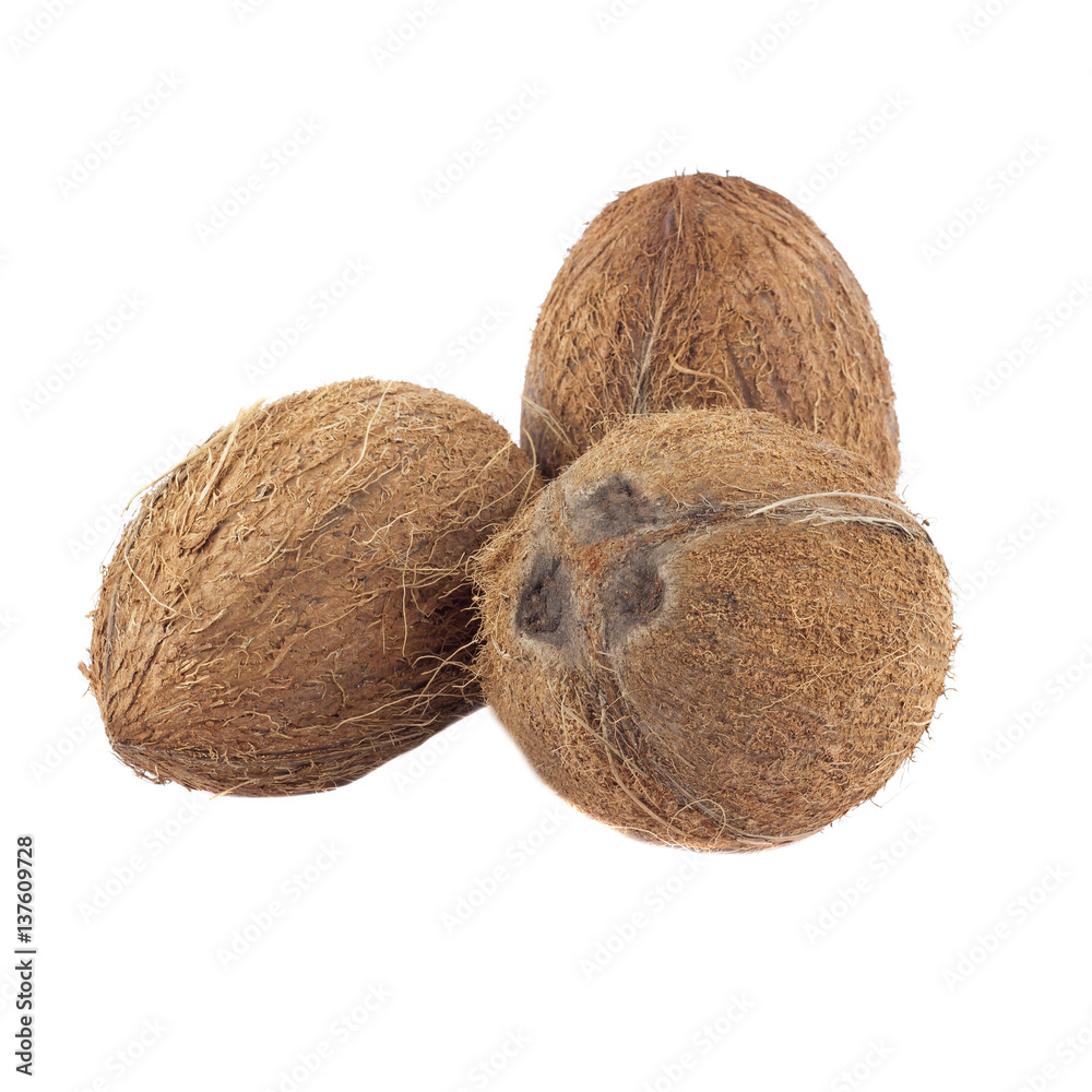 Whole coconuts isolated on white Whole coconuts isolated on white