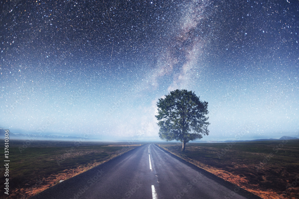 Asphalt road and lonely tree under a starry night sky Stock Photo ...