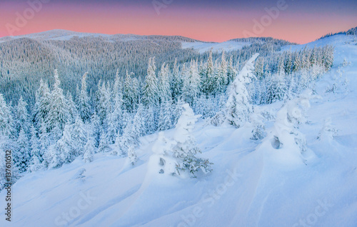 Mysterious winter landscape majestic mountains in . Magical snow covered tree. In anticipation of the holiday. Dramatic wintry scene. Carpathian. Ukraine. Happy New Year.