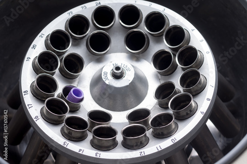 Interior of centrifuge