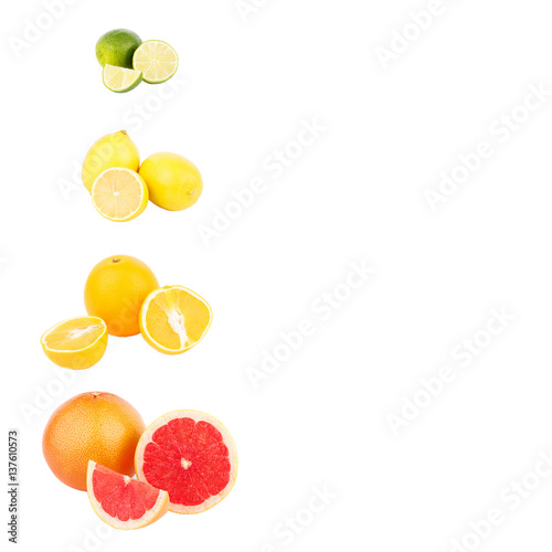 Colorful citrus set  grapefruit  lemon  lime and orange