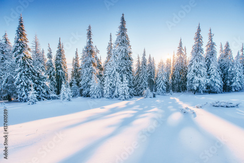 Fantastic winter landscape. Magic sunset in the mountains a fros