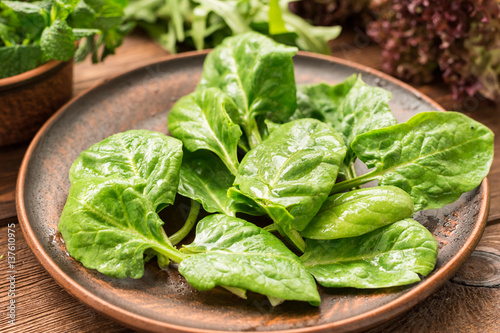 Fresh tasty spinach for healthy snack