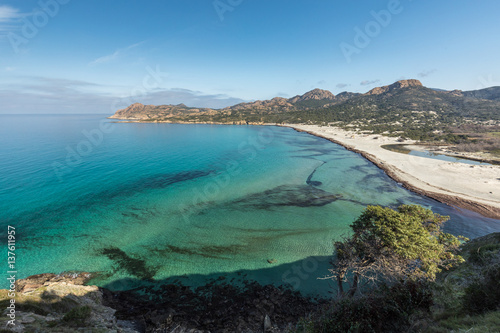 Turquoise Mediterranean at Ostriconi beach in Corsica