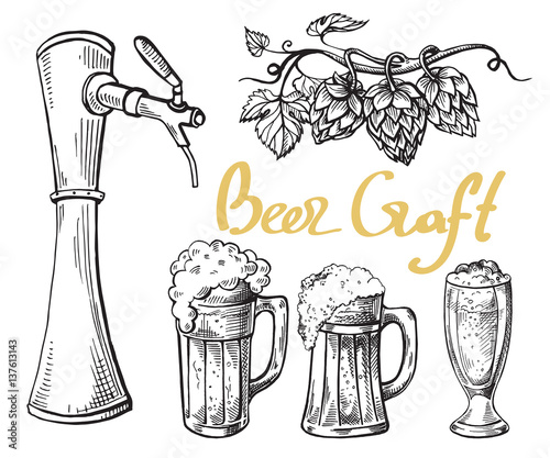 collection of beer items beer tower hops mug and glass in graphic style vector illustration