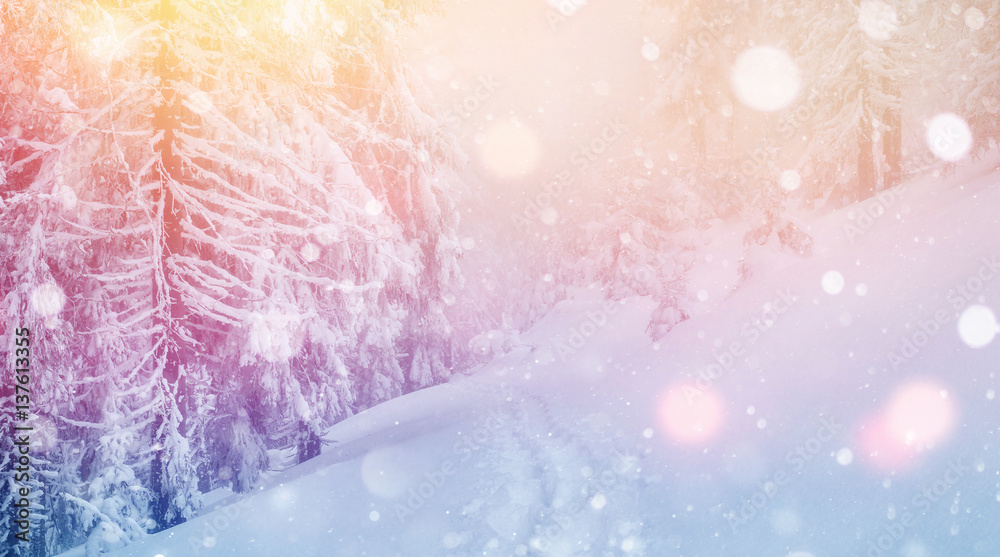 Mysterious winter landscape majestic mountains in 