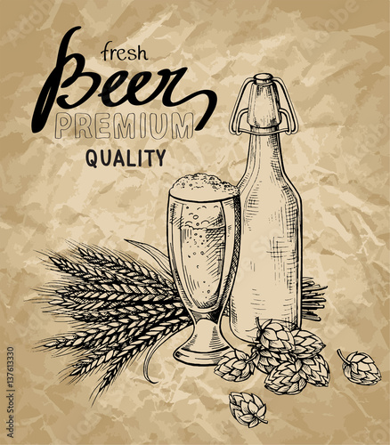 collection of beer, hops, glass, bottle, ears in graphic style vector illustration