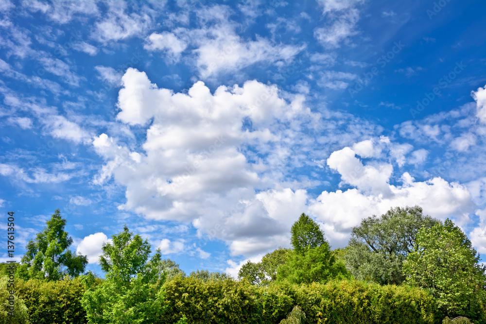 Landscape with clouds on a blue sky.
Pleasant sunny summer day. Landscape with clouds on a blue sky.
Pleasant sunny summer day.
