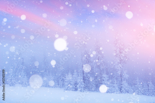 magical winter landscape, background with some soft highlights a © standret