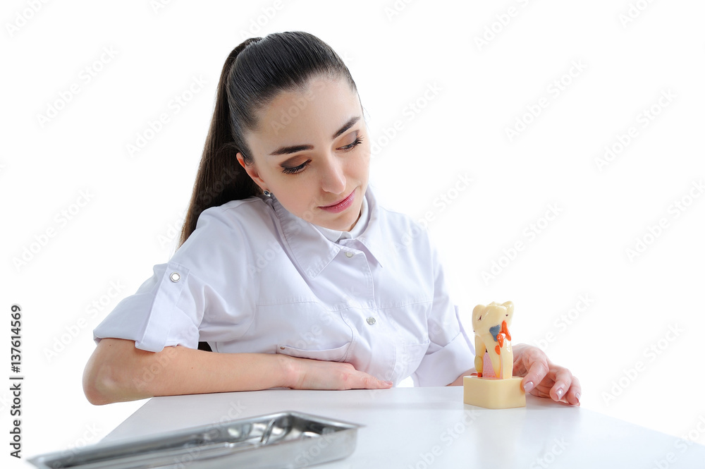 Dentist woman isolated on white with tools Dentist woman isolated on white with tools
