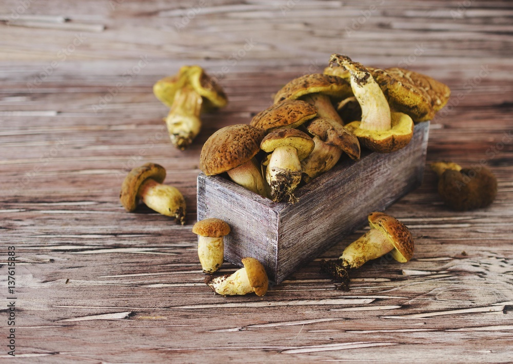 wild forest mushrooms in wooden box on a rustic table, selective focus