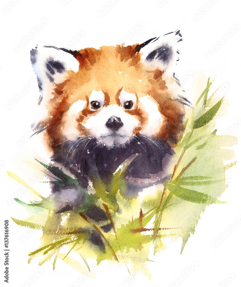 Obraz premium Watercolor Red Panda Surrounded by Bamboo Branches with Leaves Wild Animal Illustration Hand Drawn Wildlife