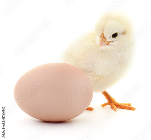 chicken and egg