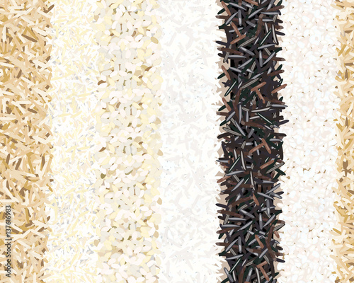 Different types of rice seamless pattern. Basmati, wild, jasmine, long brown, arborio, sushi. Six Stripes