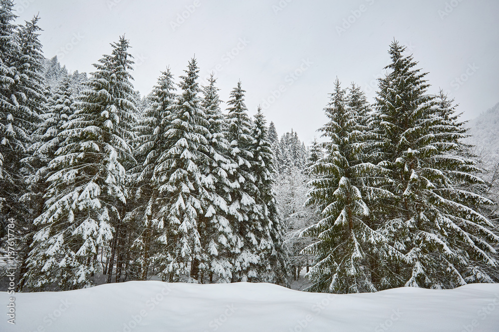 Winter landscape in the mountains Winter landscape in the mountains