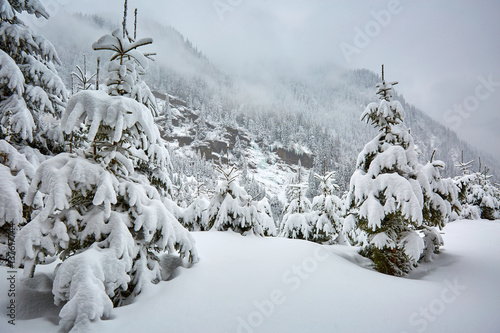 Winter landscape in the mountains