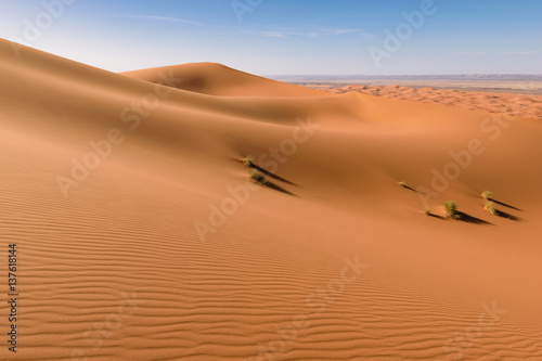 Sahara Erg Chebbi dunes  Merzouga  Morocco 