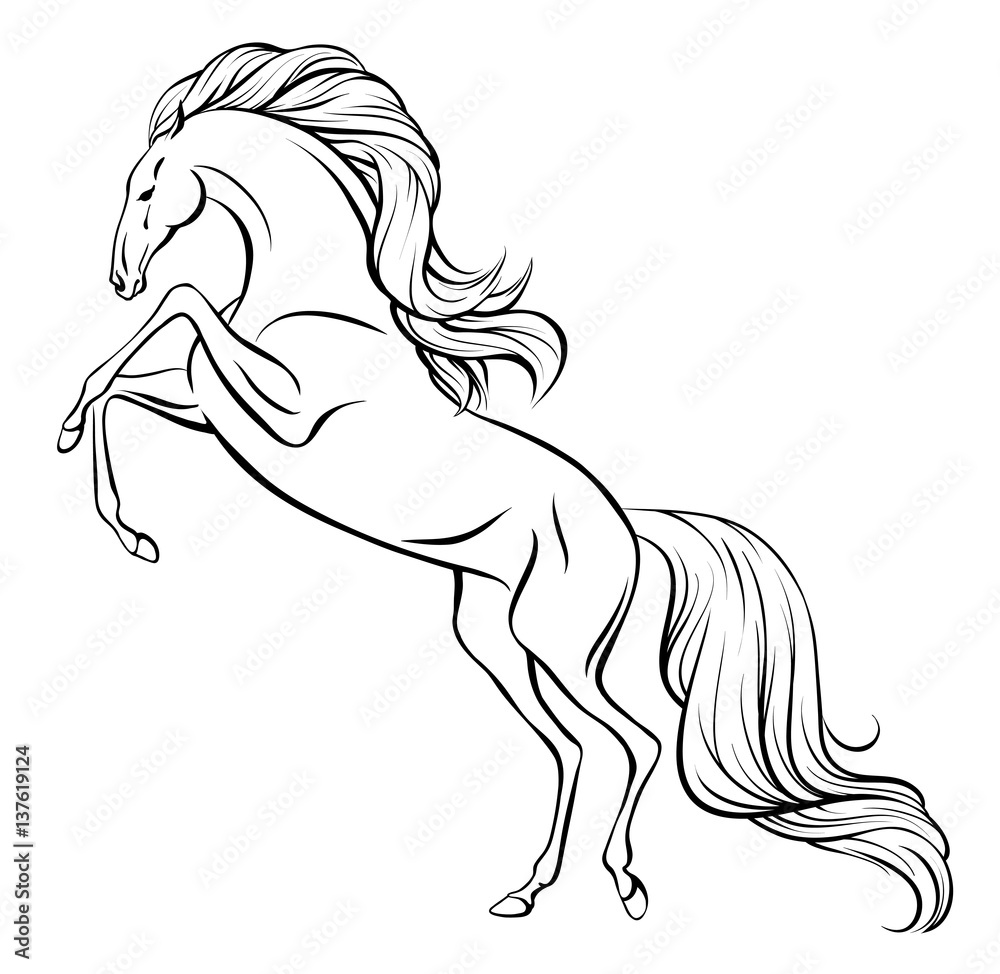 Outline vector drawing of a rearing horse with long mane and tail ...