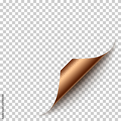 Vector realistic bronze paper corner with shadow on transparent background