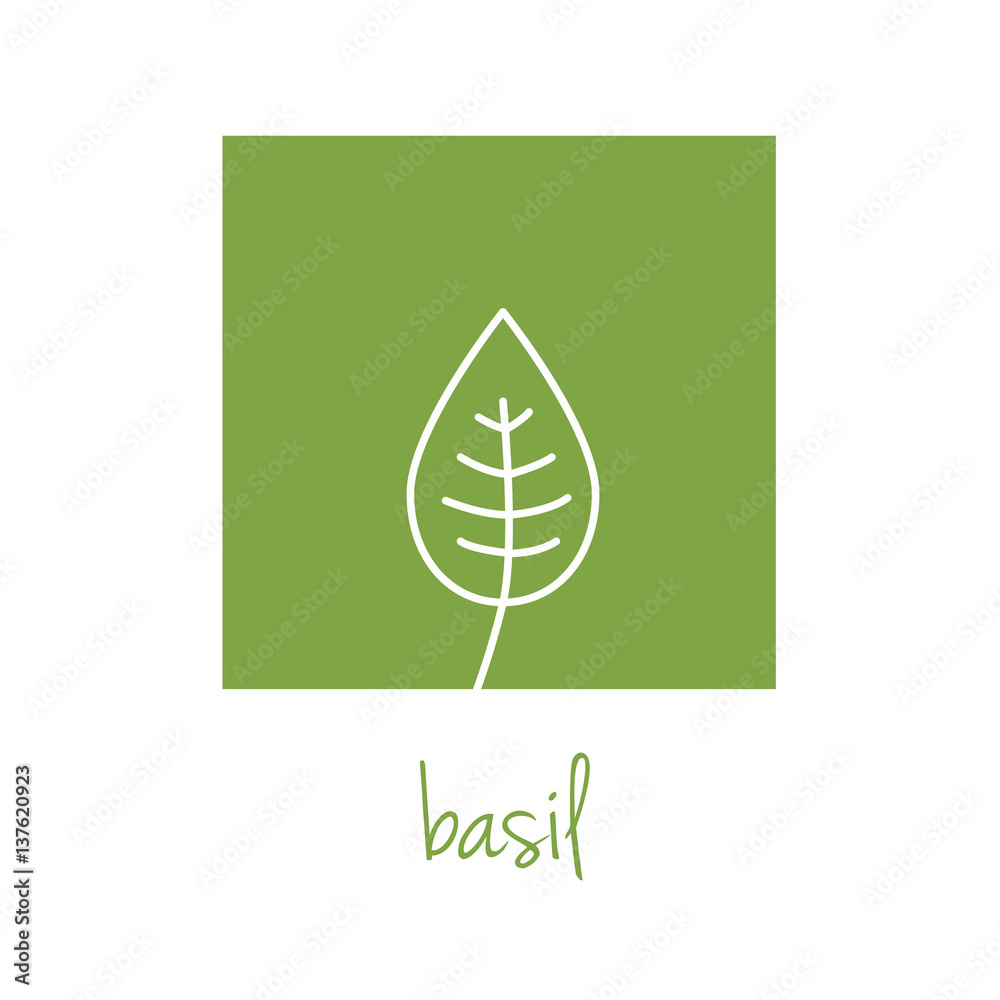 basil icon on green square basil icon on green square