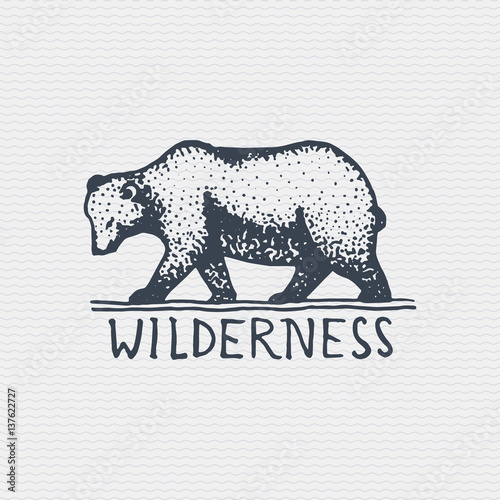 vintage old logo or badge, label engraved and old hand drawn style with wild grizzly bear