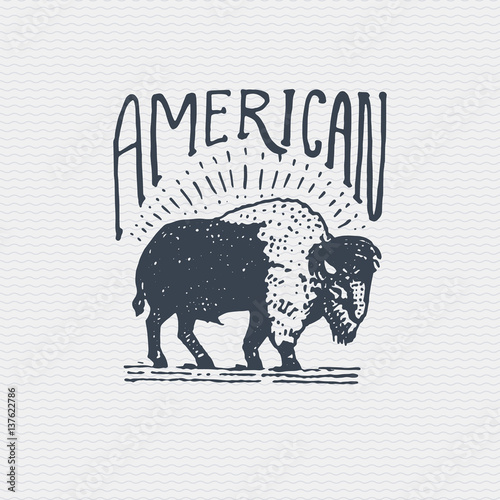 vintage old logo or badge, label engraved and old hand drawn style with wild american buffalo bull